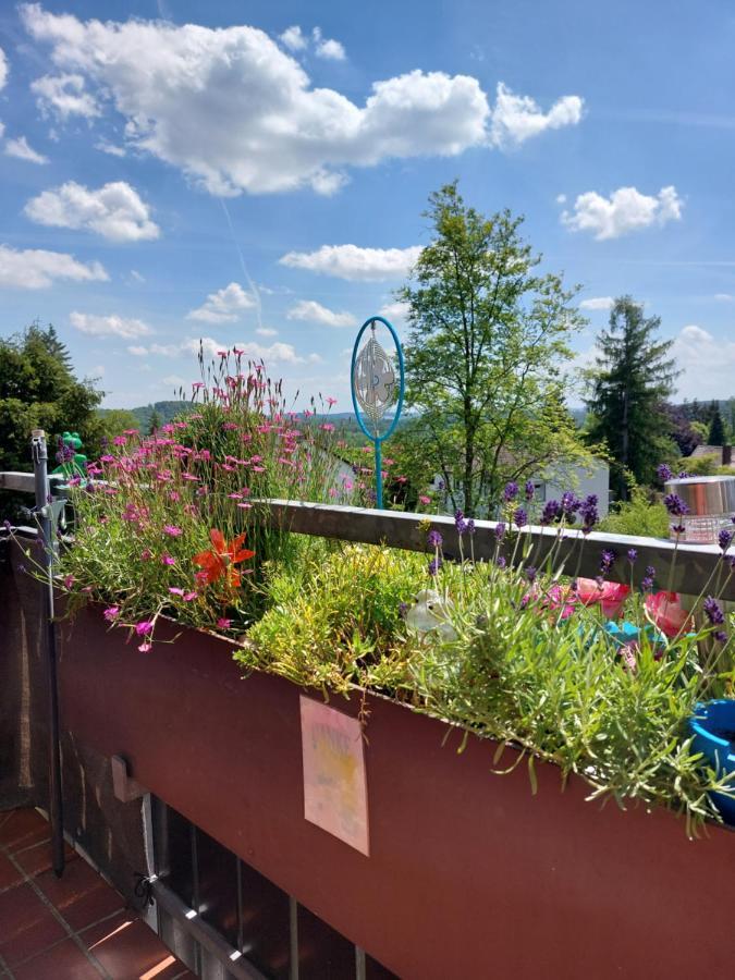Apartment Haus Sachsensteinblick Sonnenschein Bad Sachsa